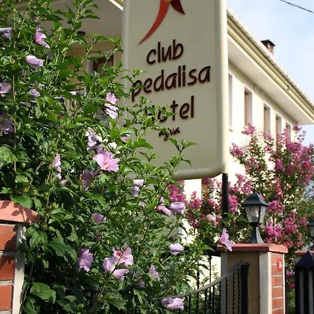 Pedalisa * Ağva