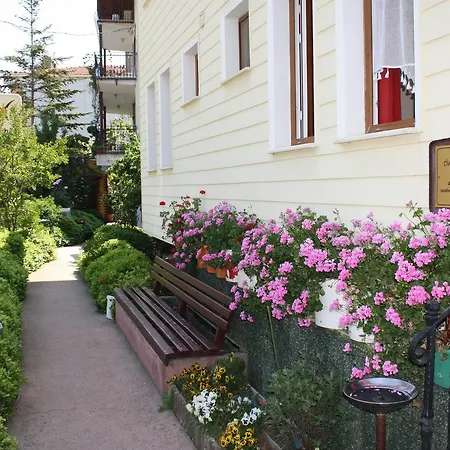 Pedalisa Frühstückspension Ağva
