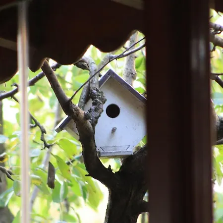 Pedalisa Bed & Breakfast Ağva